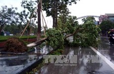 第十号台风对越南中部各省造成严重损失