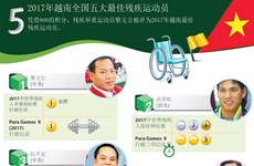 图表新闻：2017年越南全国五大最佳残疾运动员