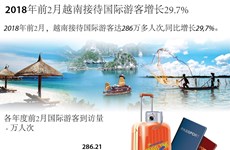 图表新闻：2018年前2月越南接待国际游客增长29.7% 