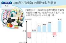 图表新闻：2018年6月越南CPI指数创7年新高 