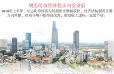 图表新闻：胡志明市经济稳步向前发展