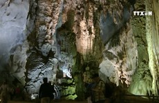 越南广平省新洞穴旅游路线试点开发