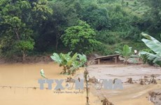 老挝领导人致电慰问越南三号台风灾区灾民