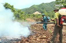 岘港市加强旱季森林火灾工作
