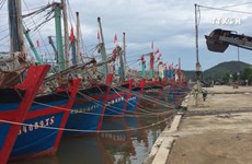 台风过后乂安省渔民准备渔具出海捕捞