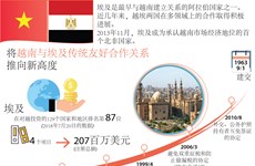 图表新闻：将越南与埃及传统友好合作关系 推向新高度