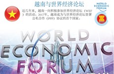 图表新闻：越南与世界经济论坛