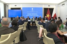 越南政府常务副总理张和平出席越南波兰经济合作研讨会