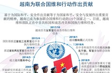 图表新闻：越南为联合国维和行动作出贡献