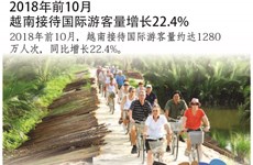 图表新闻：2018年前10月越南接待国际游客量增长22.4%