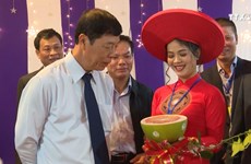 北江省陆岸县着力打造柑桔类水果品牌