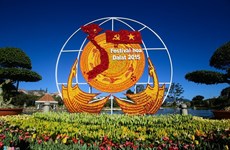 越南大叻市的迎接新年花卉节