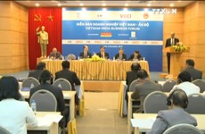 越南-印度企业论坛在河内召开 