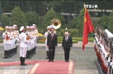 越南国家主席陈大光与爱尔兰总统麦克·希金斯举行会谈