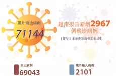 图表新闻：越南报告新增2967例确诊病例
