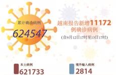 图表新闻：越南报告新增11172例确诊病例 新增治愈出院病例11200例