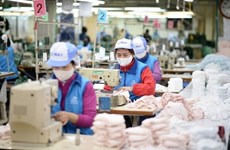 越南努力保护出口商品在欧盟市场的利益