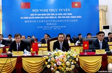 越南莱州省人民委员会与中国云南省红河州人民政府视频会议