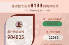 图表新闻：越南报告新增8133例确诊病例