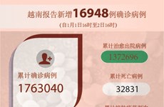 图表新闻：越南报告新增16948例确诊病例 新增死亡病例221例