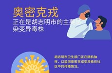 图表新闻：奥密克戎正是胡志明市的主要感染变异毒株