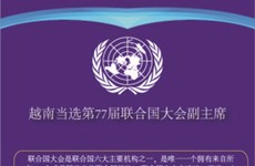 图表新闻：越南当选第77届联合国大会副主席