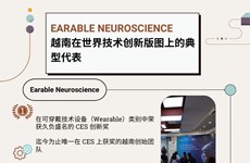 图表新闻：Earable Neuroscience 越南在世界技术创新版图上的典型代表