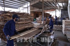 多措并举 促进富寿省木材加工业可持续发展