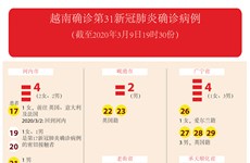 图表新闻：越南确诊第31新冠肺炎确诊病例
