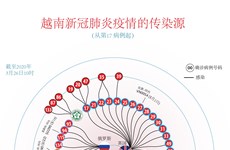 图表新闻：越南努力寻找新冠肺炎疫情的传染源