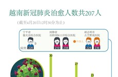 图表新闻：越南新冠肺炎痊愈人数共207人