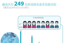 图表新闻：越南共有 249 名新冠肺炎患者治愈出院