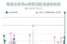 图表新闻：新冠肺炎疫情：岘港市新增45例社区感染病例