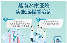 图表新闻：越南共有24家医院实施远程看治病