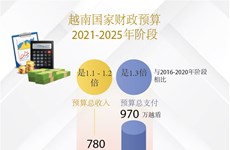 图表新闻：越南国家财政预算（2021-2025年阶段）