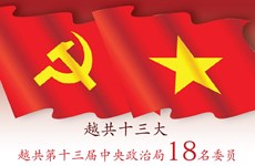 图表新闻：越共第十三届中央政治局委员名单