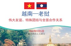 图表新闻：越南—老挝伟大友谊、特殊团结与全面合作关系稳步前行