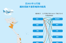 互动图标：自2021年12月起越南重新开通常规国内航线