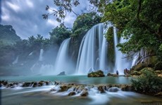 组图：板约瀑布是国内外知名的旅游景点