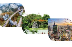 图表新闻：越南三大城市被列入全球最佳数字游牧城市名单
