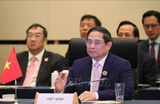 越南政府总理范明政出席东盟—日本关系50周年纪念峰会
