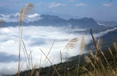 组图：来莱洲省欣赏云海的壮丽景观