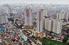 越南80%的房地产交易所恢复正常运营