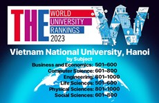 2023 年泰晤士高等教育世界大学学科排名出炉 河内国家大学6个学科上榜