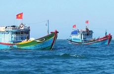 广平省渔民捕回新春“第一鲜” 收获颇丰