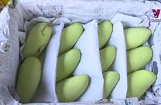 实现市场多样化   越南水果出口的可持续发展方向