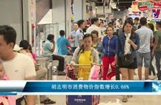 胡志明市消费物价指数增长0.66%