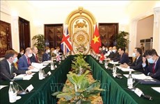 越英两国一致同意将战略伙伴关系推向新高度