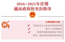 图表新闻：2016-2021年任期越南政府的突出烙印
