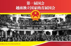 图表新闻：第一届国会——越南独立国家的首届国会